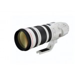 Canon Объектив Canon EF 200-400mm f/4.0L IS USM Extender 1.4X Фото - Canon Объектив Canon EF 200-400mm f/4.0L IS USM Extender 1.4X