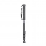 Фото - Benro Монопод Benro MP-63 (MP-63m8) (A18T) + Денежный сертификат