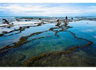 Фото ZEISS  ZEISS T* POL Filter 86 mm  (2101-666) (2101-666)