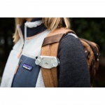 Фото Peak Design Крепление Capture Silver with Standard Plate (CP-S-3)
