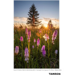 Фото Tamron Объектив Tamron SP 15-30mm F/2.8 Di VC USD G2 для Nikon (196588)