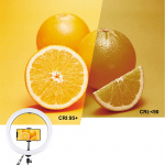 Фото PowerPlant Кільцева LED лампа Puluz PKT3050EU 12 '+ штатив 1,1 м (PKT3050EU)