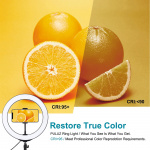 Фото PowerPlant Кольцевая USB LED лампа Puluz PKT3053B 10' + штатив 1.1 м (PKT3053B)