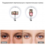 Фото PowerPlant Кольцевая LED лампа Puluz PU411EU 12' (PU411EU)