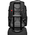 Manfrotto   Рюкзак Manfrotto Advanced Befree Backpack III (MB MA3-BP-BF) Фото Manfrotto   Рюкзак Manfrotto Advanced Befree Backpack III (MB MA3-BP-BF)