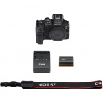 Canon Фотокамера Canon EOS R7 body  Фото Canon Фотокамера Canon EOS R7 body