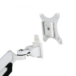 Фото Loctek Настольный крепеж для монитора Loctek DLB851 White