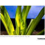 Фото Tamron Объектив TAMRON AF 28-200mm F/2,8-5,6 Di III RXD для Sony Fullframe (EU)