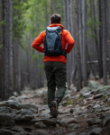 Lowepro Фоторюкзак Lowepro PhotoSport Outdoor Backpack BP 15L AW III Grey-orange (LP37339-PWW) Фото Lowepro Фоторюкзак Lowepro PhotoSport Outdoor Backpack BP 15L AW III Grey-orange (LP37339-PWW)