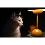 Nikon Объектив Nikon Nikkor Z DX 24mm f/1.7 S (JMA109DA) Фото Nikon Объектив Nikon Nikkor Z DX 24mm f/1.7 S (JMA109DA)