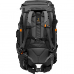 Фото Lowepro Фоторюкзак Lowepro Pro Trekker BP 550 AW II (LP37270-GRL)