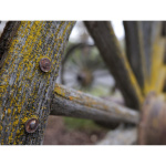 Panasonic Фотокамера Panasonic Lumix DC-S5 II X Kit 20-60mm Black (DC-S5M2XKEE) Фото Panasonic Фотокамера Panasonic Lumix DC-S5 II X Kit 20-60mm Black (DC-S5M2XKEE)