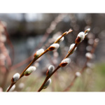Panasonic Фотокамера Panasonic Lumix DC-S5 II X Kit 20-60mm Black (DC-S5M2XKEE) Фото Panasonic Фотокамера Panasonic Lumix DC-S5 II X Kit 20-60mm Black (DC-S5M2XKEE)
