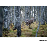 Фото Tamron Объектив Tamron 70-180mm F/2.8 Di III VC VXD G2 для Sony E Sony Fullframe