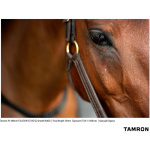 Фото Tamron Объектив Tamron 70-180mm F/2.8 Di III VC VXD G2 для Sony E Sony Fullframe