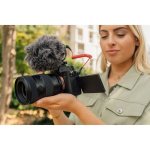 Фото Tamron Объектив Tamron AF 17-50mm F/4 Di III VXD (A068) для Sony E(EU)