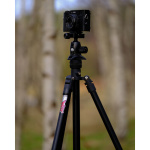 3 LEGGED THING Штатив 3 LEGGED THING Punks Patti 2.0 Matte Black Алюминиевый (PATTIDARK2.0) Фото 3 LEGGED THING Штатив 3 LEGGED THING Punks Patti 2.0 Matte Black Алюминиевый (PATTIDARK2.0)