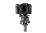 Фото 3 LEGGED THING Сферическая выравнивающая голова 3 LEGGED THING LevelHed Levelling Base Matte Black (LVLHEDDARK)