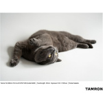 Фото Tamron Об'єктив Tamron 50-300mm f/4.5-6.3 Di III VC VXD (Sony E) EU